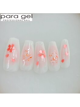 3月パラジェルスペシャル定額