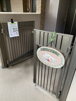 スマイルアゲイン整体院 川崎/当院までの道のり