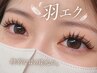 【イベント前に★写真映え】LEDフラット100本+羽エクステ20束まで ¥8,980