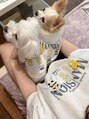 フィーロ(Filo) 実家で飼っているわんちゃんが癒しです!