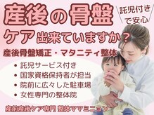 整体 ママミニョン