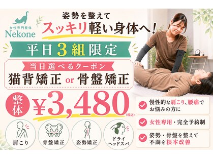 ネコネ(Nekone)の写真