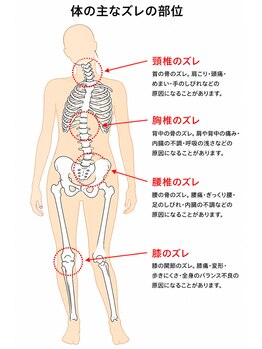 バズ カイロプラクティック(VAZ)の写真/国内有資格者は数パーセントの国際基準カイロプラクターが施術！あらゆる角度から身体の歪みをチェック。