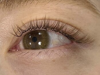 ゼン(Zen)/オールブラウンバインドロック 