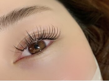 アンディ(ANDY)/フラットラッシュ140本