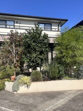 ベニミドリ おゆみ野(benimidori)/店舗前にある庭