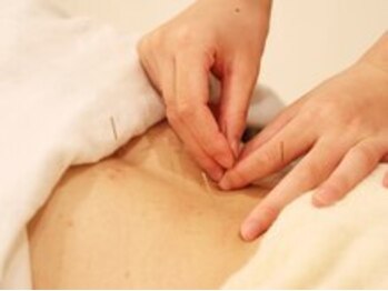 きらり整体 河内花園院/【鍼灸】