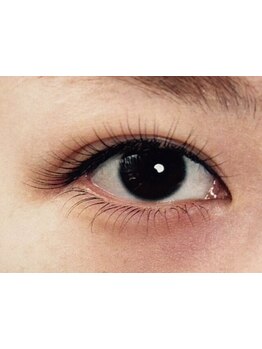 エクステの種類が豊富