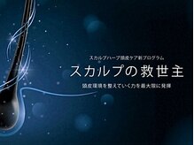 アステキ(ASUTEKI)/バーブ＋カイメンの良質国産品