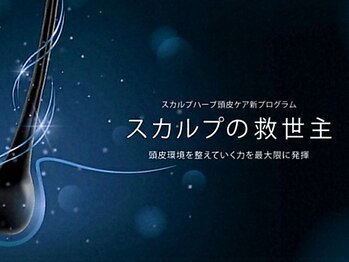 アステキ(ASUTEKI)/バーブ＋カイメンの良質国産品