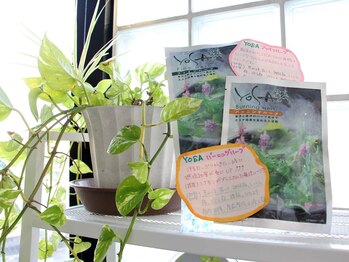 YOSAPARK Voice/オプションでバーニングハーブに