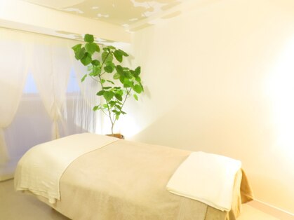 フェイシャルケア専門SPA Esther銀座本店|毛穴洗浄/小顔/ハーブピーリング/ヘッドスパの写真