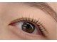ビューティーリゾート ワープ ディーバ(Beauty Resort warp DiVA)の写真/ナチュラルに上品に仕上げる技術で理想の目元を演出！癒やしの空間で自分だけの美しさを楽しんで♪