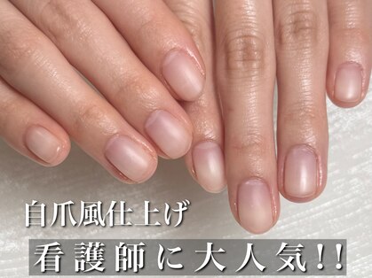 リリーの写真