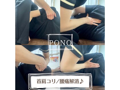 ポノ(Pono)の写真