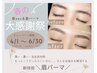 ★期間限定★【美眉スタイリング×眉パーマ】¥12,320→¥7,990