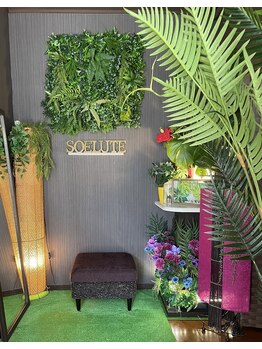 ソエルテ(soelute)/