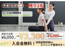 アイディール(IDEAL)