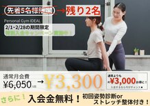 アイディール(IDEAL)