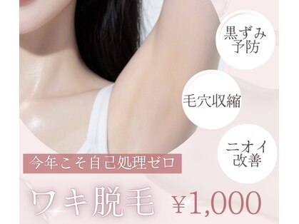 ルミナ(Lumina)の写真