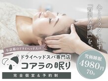 コアラの眠り 京都河原町店