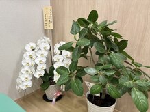 さつきが丘接骨院/少しでも安らぎを