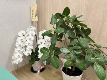 さつきが丘接骨院/少しでも安らぎを