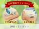 シープ(Sheep)の写真