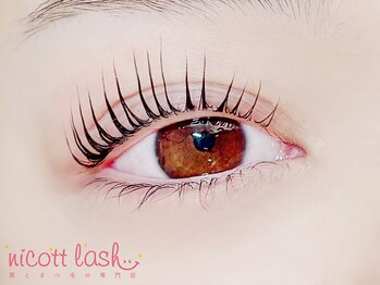 ニコットラッシュ 天王寺店(nicott lash)/まつげパーマ［天王寺・マツパ］