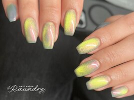 マグネットワンカラー