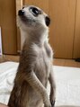 アイブロウドットキス 大宮(iBROW. kiss) 【動物が好き】ミーアキャットと暮らしてます