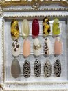ネイルサンプル