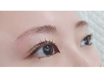 アーティストシーナ/カーヴィキャットスペシャルSet