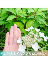 桃の木 吉祥寺店/［老け手]対策には化粧水で保湿