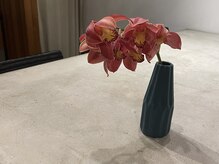 ニュード(new.ed/)/new.ed/