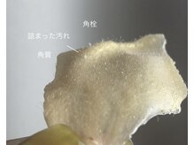 ハリウッドブロウリフト ワクシー 自由が丘店(HOLLYWOOD BROW LIFT WAXYYY.)/フェイスワックス¥8,800～