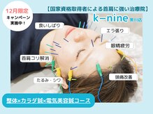 ケーナイン(K-nine)