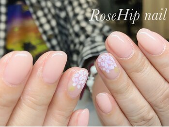ローズヒップ(Rose Hip)/パラジェル定額アート6600円
