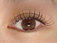 ラシク ベル(Lashiku Belle)/フラットラッシュ140