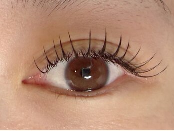 ラシク ベル(Lashiku Belle)/フラットラッシュ140