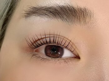 アンディ(ANDY)/ラッシュリフト