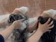 アイラッシュアンドスパ シーア(Seaa)の写真/「極上の癒しをあなたに。水の力で心と頭皮を解きほぐす、至福のウエッドヘッドスパ体験」