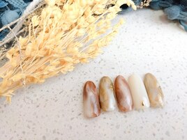 11月シンプルナチュラルカラー