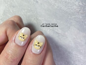 カシュカシュ(Cache Cache)/3Dトラネイル