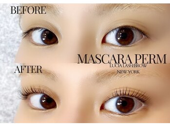 ルシアラッシュブロウ 新宿(LUCIA LASH BROW)/【マスカラパーマ★】