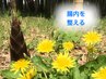 【腸内を整える  専門鍼 】鍼＋施術トレーニング60分 14000円→11000円
