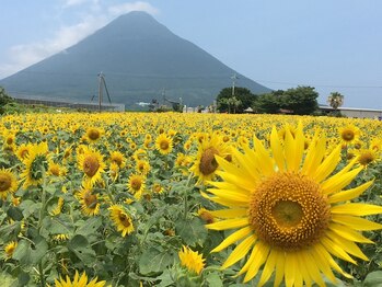 まごんて整体院/開聞岳【姿勢改善/睡眠/不眠】