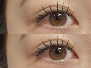 ムーラッシュ(moulash)の写真/エクステの中でも高い持続力で話題の高毛質《フラットラッシュ》＊抜群のモチの良さ×軽い付け心地◎