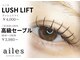 エール(ailes)の写真