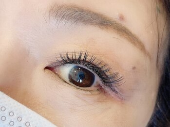 リッシュ(RICHE)/フラットラッシュ160本